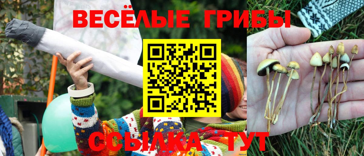 Куйбышев  наркошоп  Вход с VPN  Псилоцибиновые грибы прущие грибы 